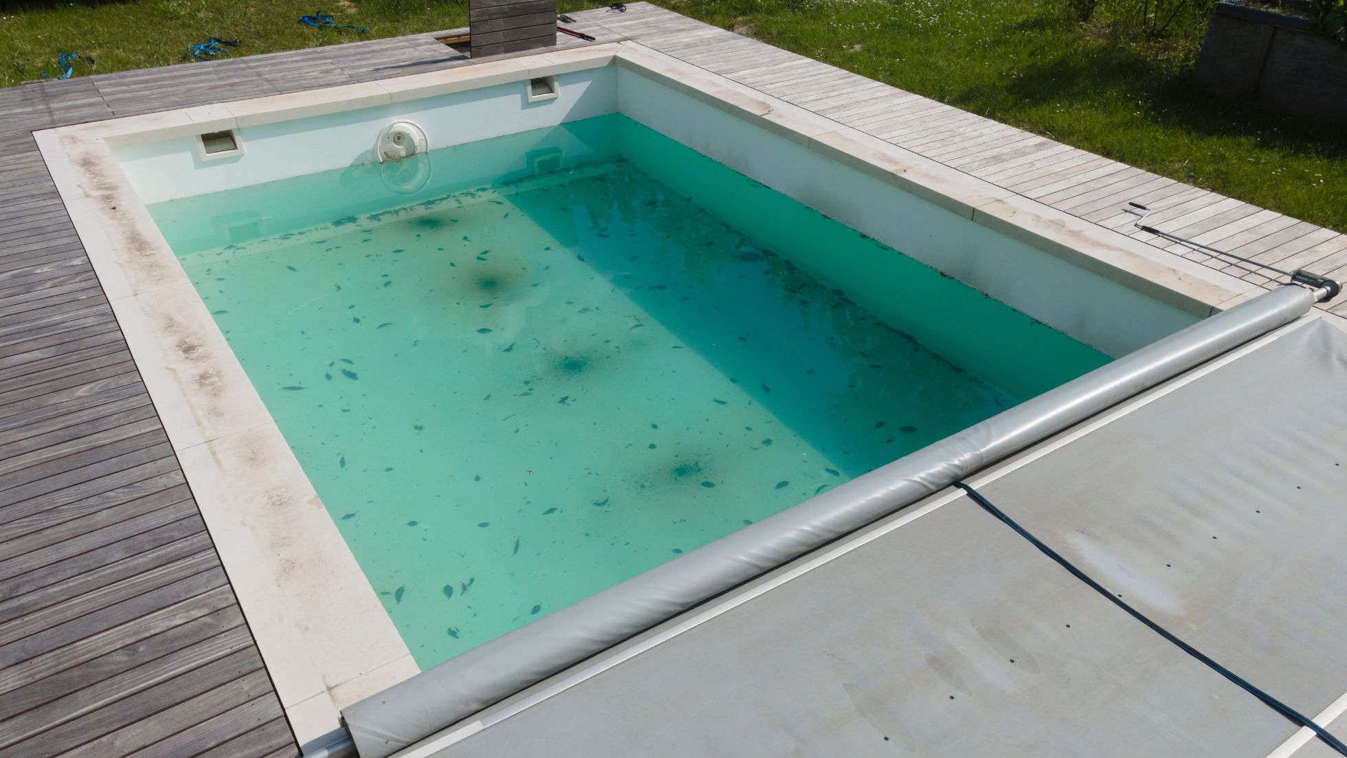 A pool with leaves, debris, and algae