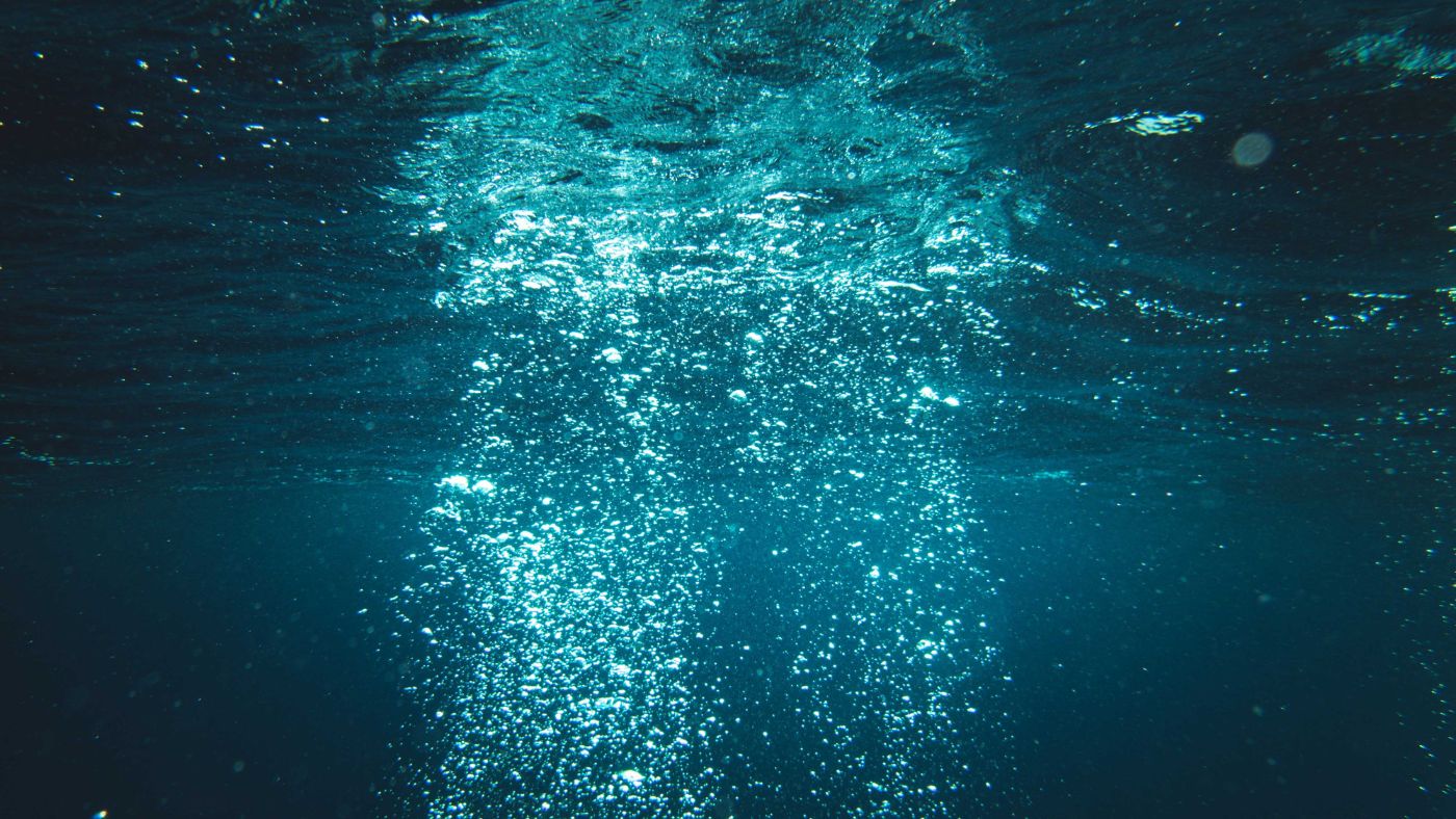 underwater, bubbles are rising to the surface